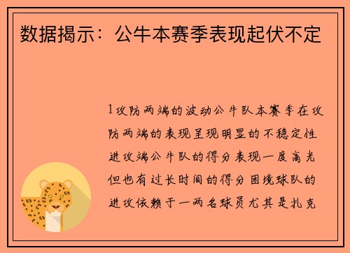 数据揭示：公牛本赛季表现起伏不定